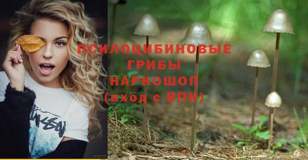 МДПВ Киренск