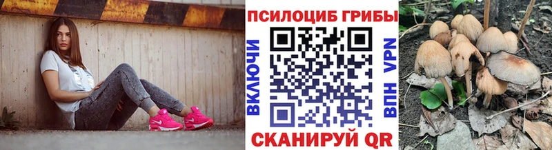 Купить закладки  Беслан  Галлюциногенные грибы MAGIC MUSHROOMS 